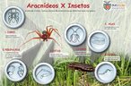 Os artrpodes so invertebrados que possuem apndices corporais e um exoesqueleto quitinoso. Apresentam cinco classes: insecta, arachnida, crustacea, chilopoda e diplopoda, que so definidas utilizando critrios, como: diviso do corpo e nmero de patas. O maior nmero de representantes pertence a classe insecta. <br /><br /> Palavras-chave: invertebrados, artrpodes, aracndeos, insetos, aranha-marrom, barata, Multimeios. 