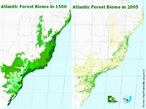 Evoluo da Cobertura Florestal da Mata Atlntica no Brasil