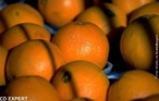 Fruta comestvel rica em vitamina C, elemento antioxidante natural. </br></br> Palavra-chaves: fruta, laranja, vitamina C, biodiversidade.