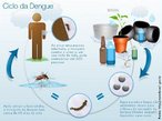 O ciclo de transmisso do vrus do dengue comea em uma pessoa que j esteja infectada com a doena. O <em>Aedes aegypti</em> adquire o vrus quando se alimenta do sangue do doente; no entanto, para que isso acontea,  necessrio que o enfermo apresente o vrus circulando em seu sangue (perodo denominado viremia e que dura em mdia cinco dias).Uma vez dentro do <em>Aedes aegypti</em>, o vrus multiplica-se no intestino mdio do inseto (parte conhecida como mesntero) e, com o tempo, passa para outros rgos, como os ovrios, o tecido nervoso e, finalmente, as glndulas salivares, de onde sair para a corrente sangnea de outro humano picado. <br /><br /> Palavras-chave: dengue, vrus, <em>Aedes aegypti</em>.